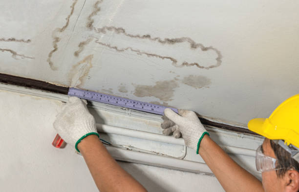 Affordable Ceiling Water Damage Repair solutions in Pittsville, WI